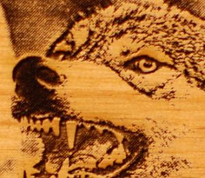 在雕刻小木照片時，如何在PhotoLaser Plus上實現更好的雕刻效果？</a>